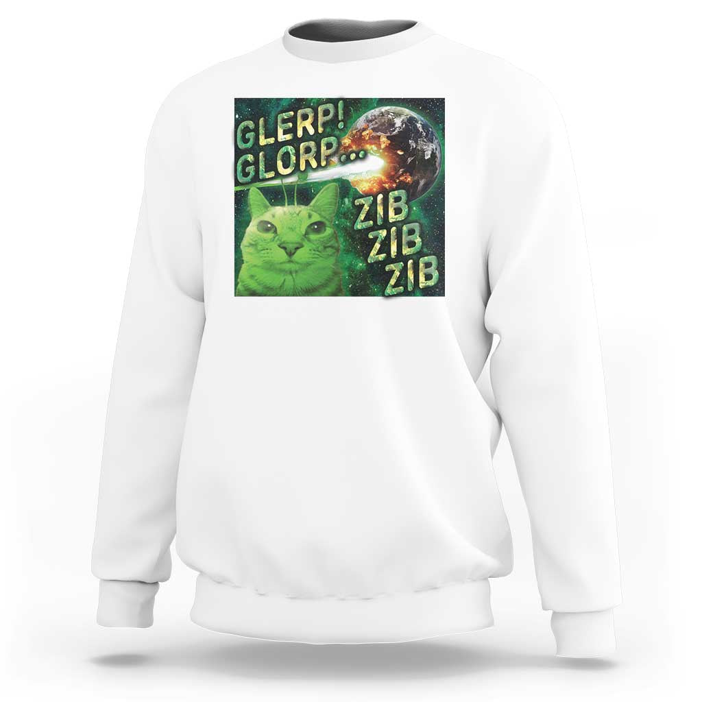 Funny Alien Cat Meme Sweatshirt Glerp Glorp Zib Zib