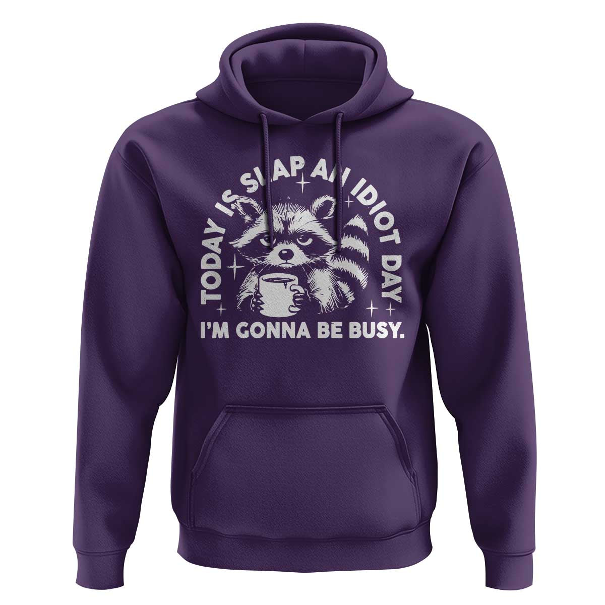 Funny Raccoon Today Is Slap An Idiot Day Hoodie