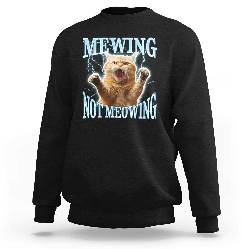 Funny Meme Cat Mewing Not Meowing Sweatshirt