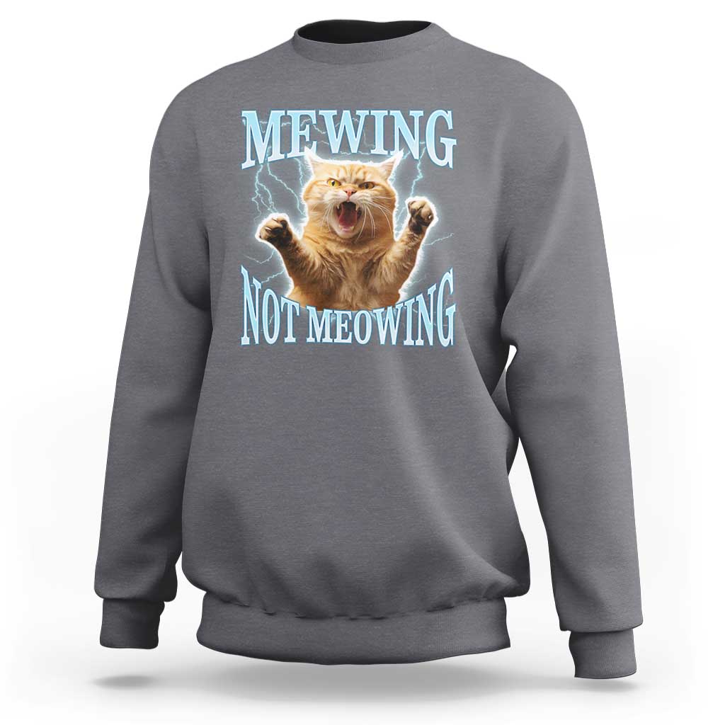 Funny Meme Cat Mewing Not Meowing Sweatshirt