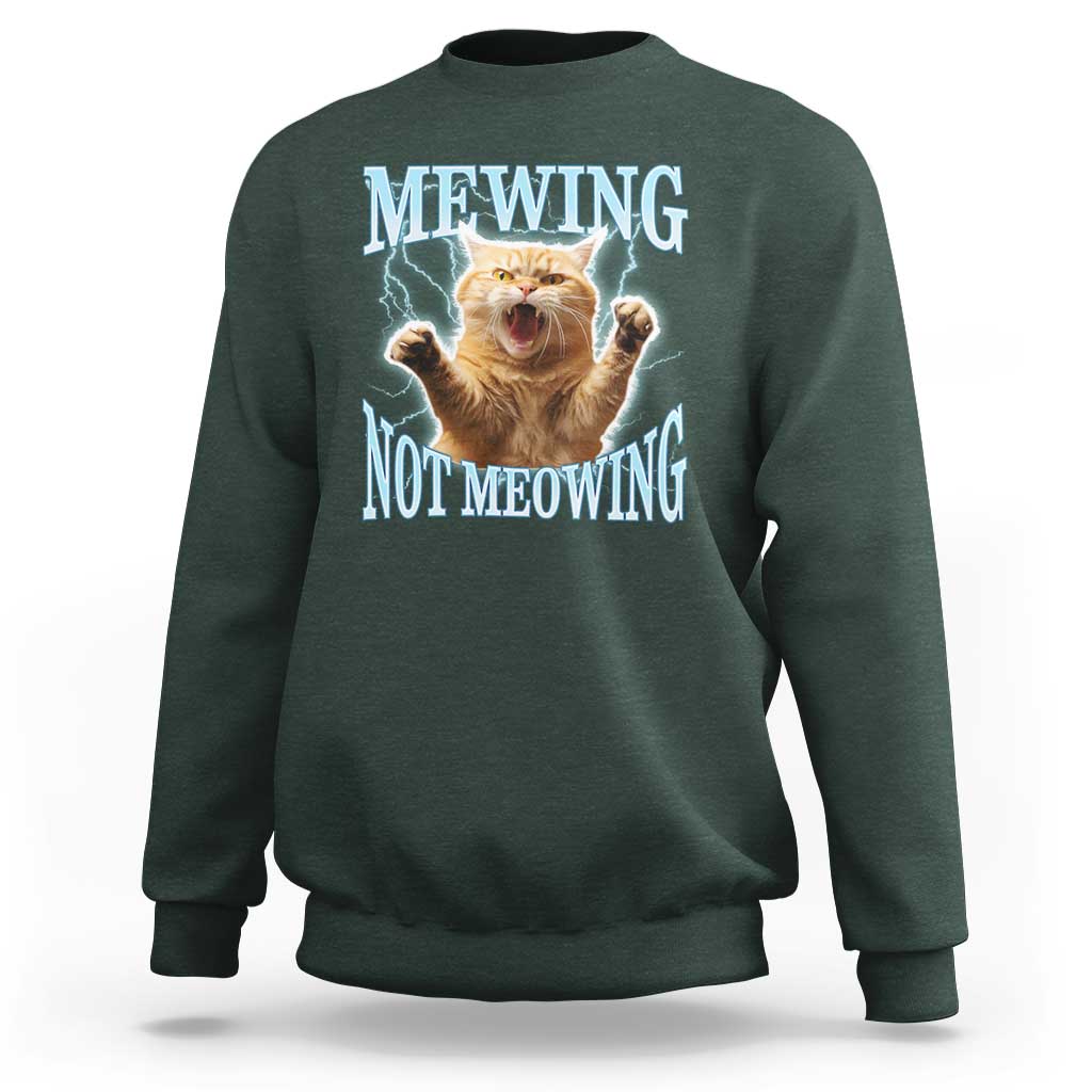 Funny Meme Cat Mewing Not Meowing Sweatshirt