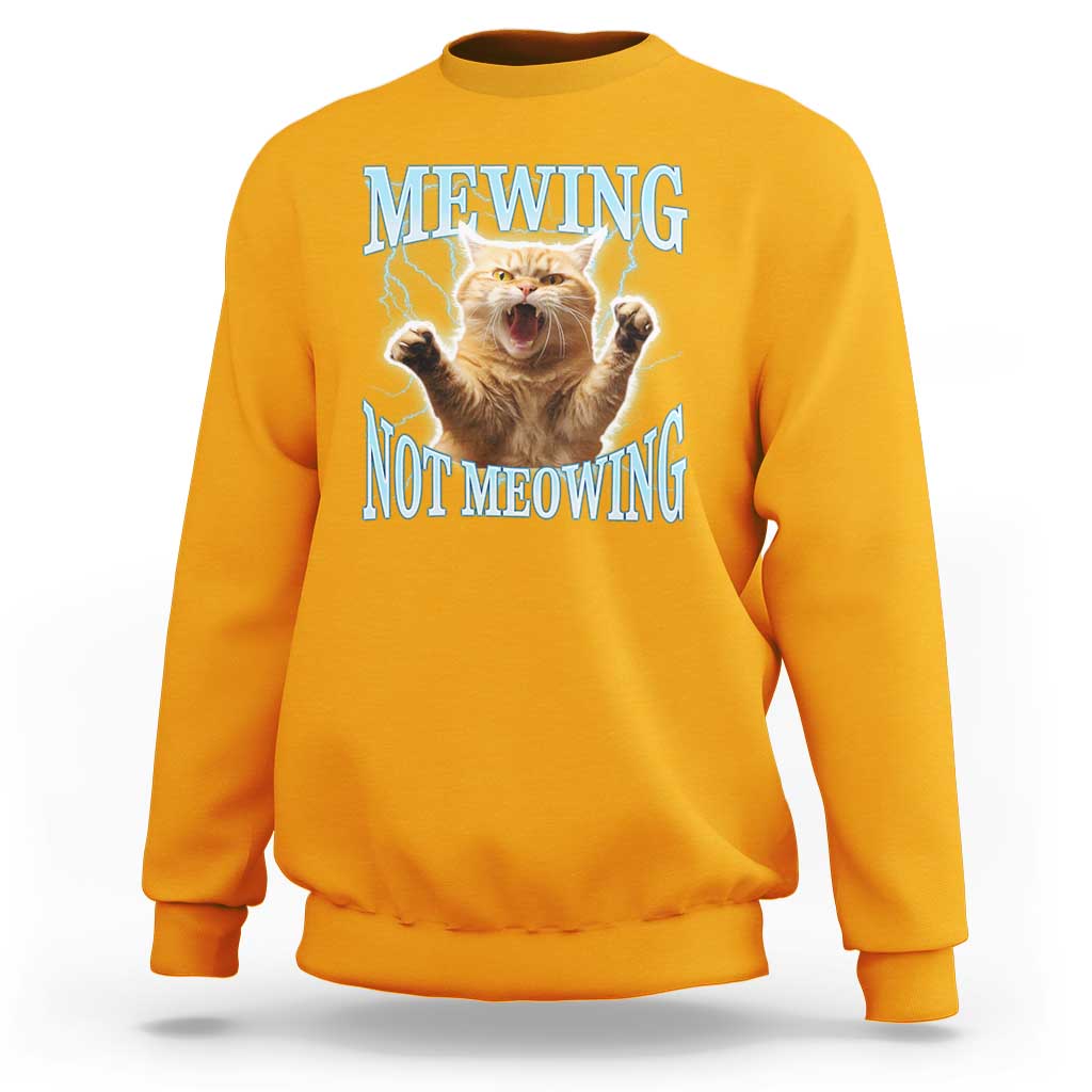 Funny Meme Cat Mewing Not Meowing Sweatshirt