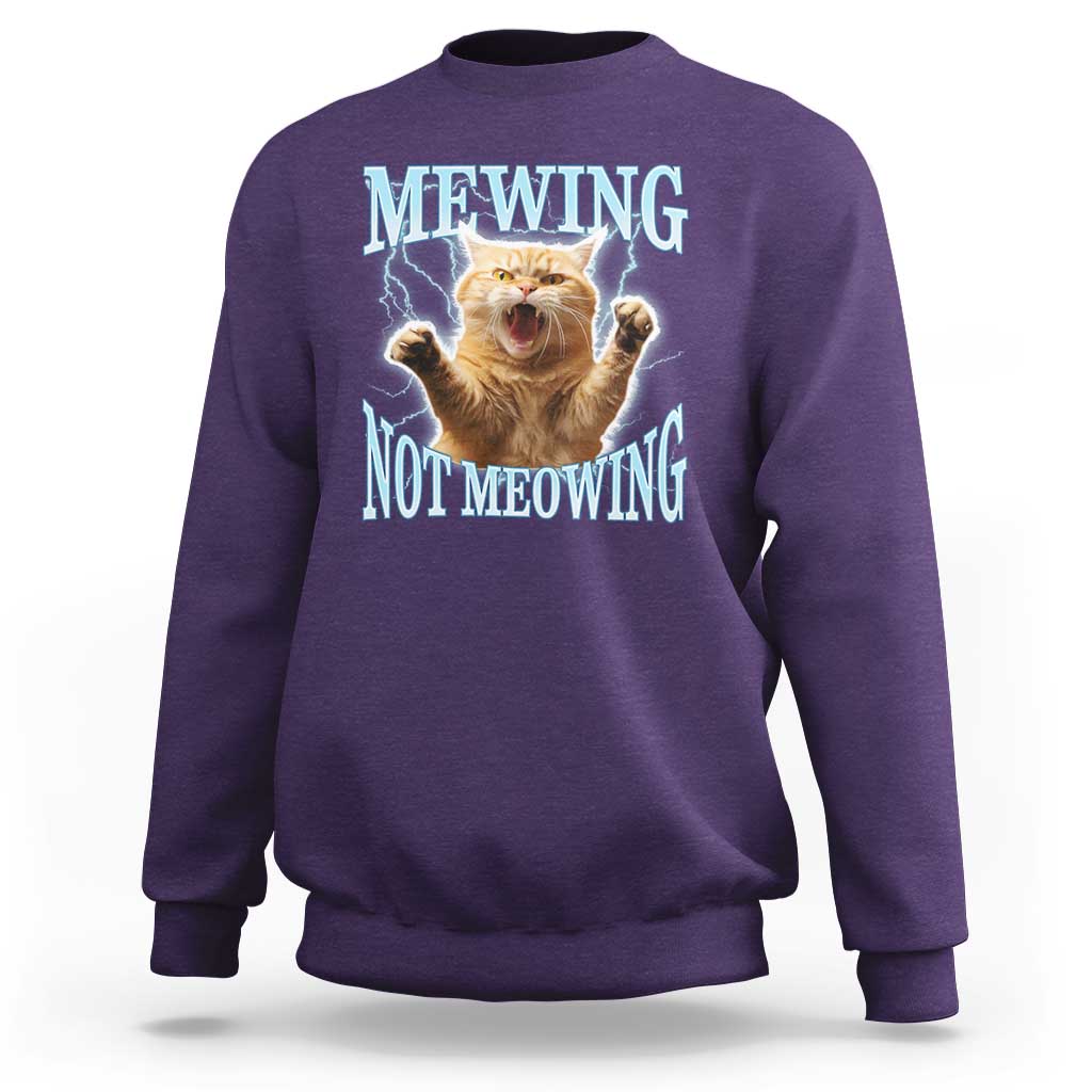 Funny Meme Cat Mewing Not Meowing Sweatshirt