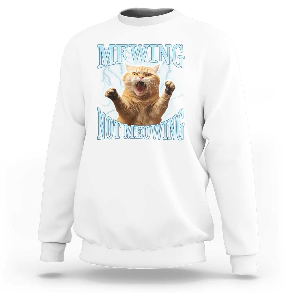 Funny Meme Cat Mewing Not Meowing Sweatshirt