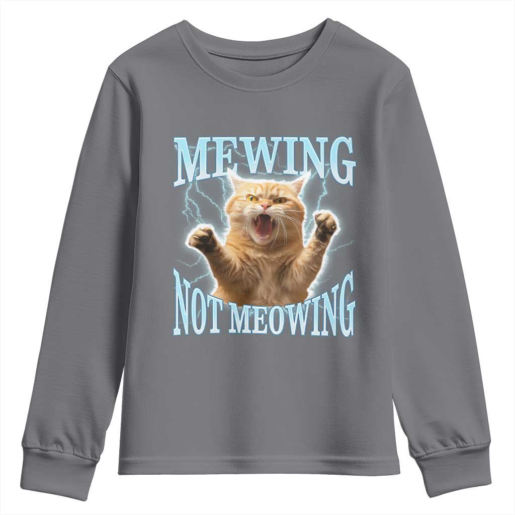 Funny Meme Cat Mewing Not Meowing Youth Sweatshirt