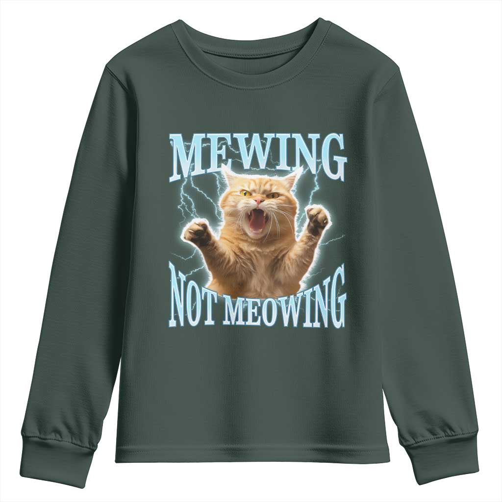 Funny Meme Cat Mewing Not Meowing Youth Sweatshirt