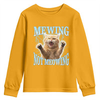 Funny Meme Cat Mewing Not Meowing Youth Sweatshirt
