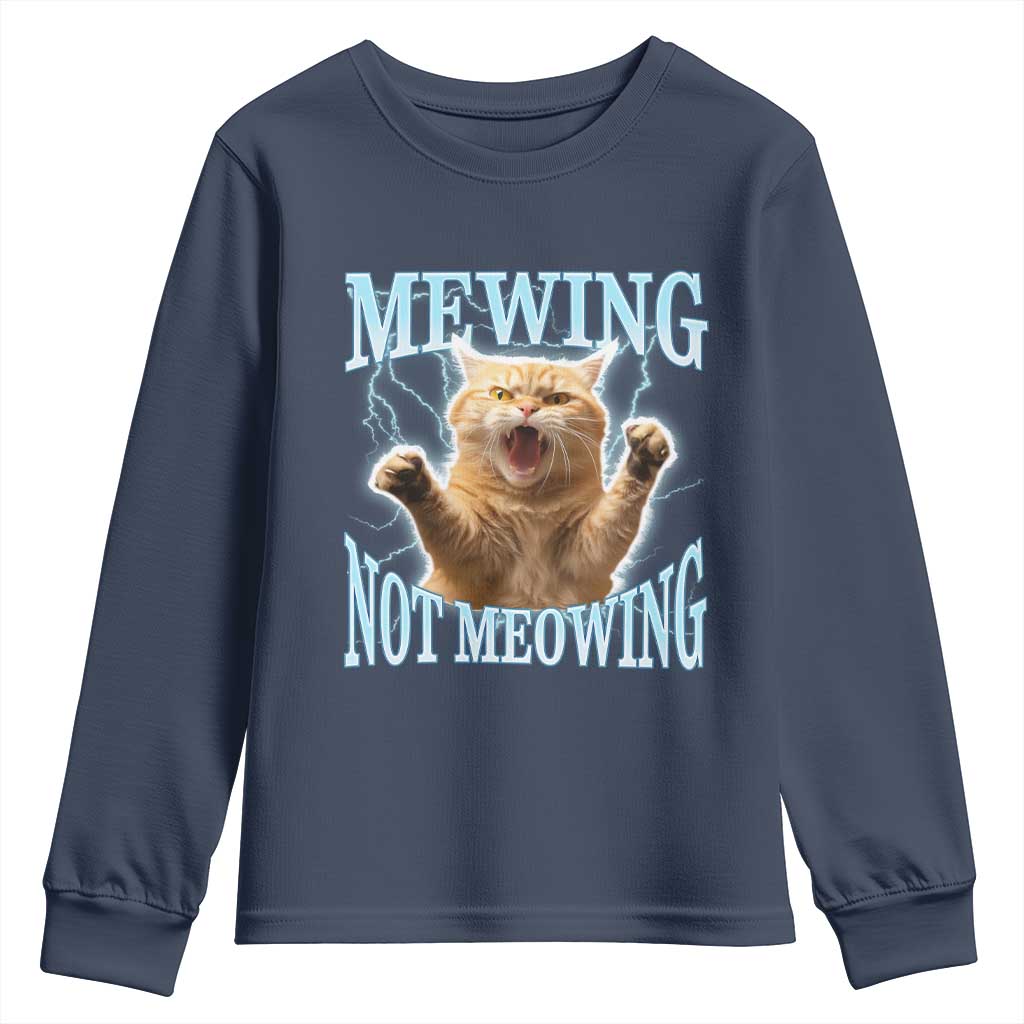 Funny Meme Cat Mewing Not Meowing Youth Sweatshirt