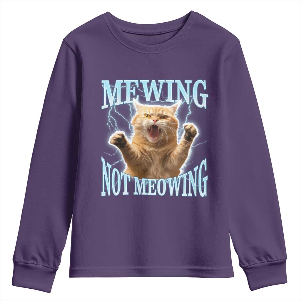 Funny Meme Cat Mewing Not Meowing Youth Sweatshirt