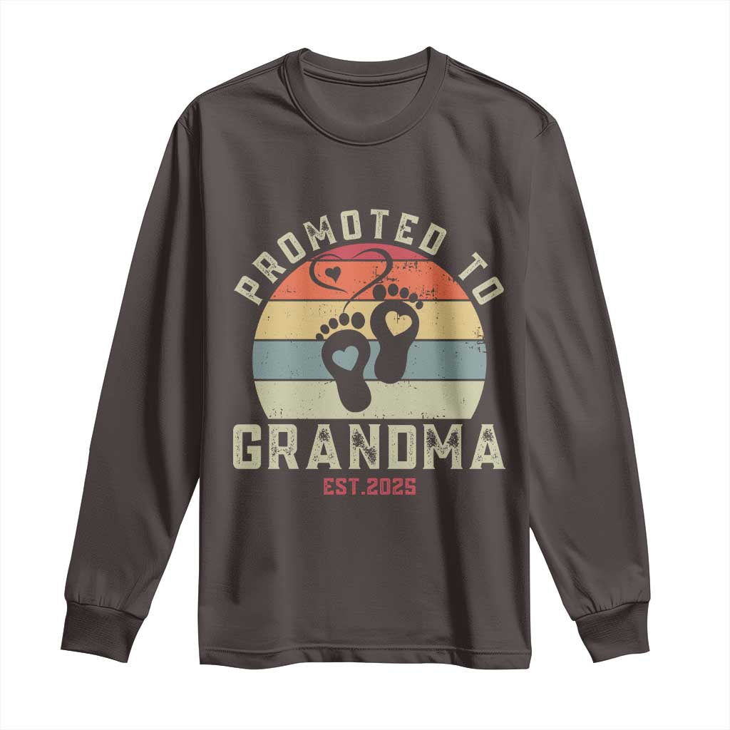 Retro Promoted To Grandma est 2025 Long Sleeve Shirt