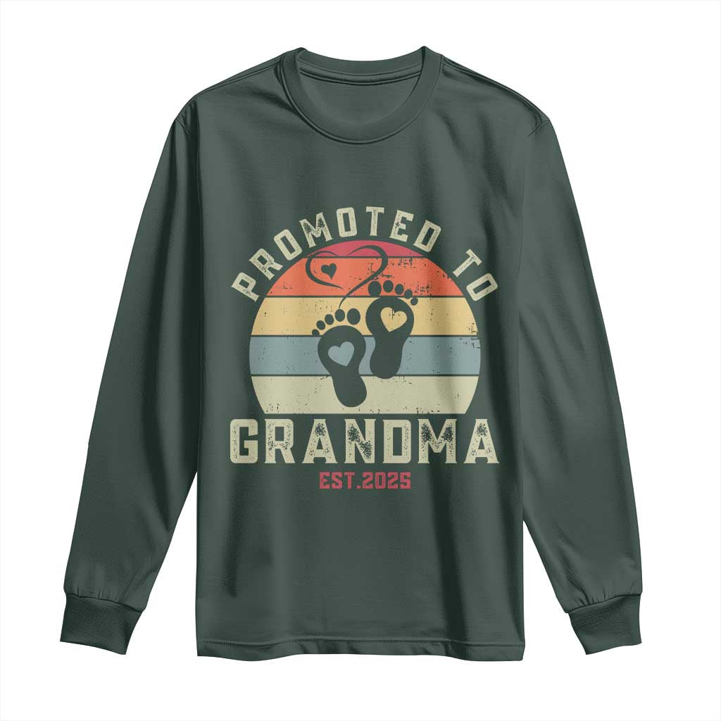 Retro Promoted To Grandma est 2025 Long Sleeve Shirt