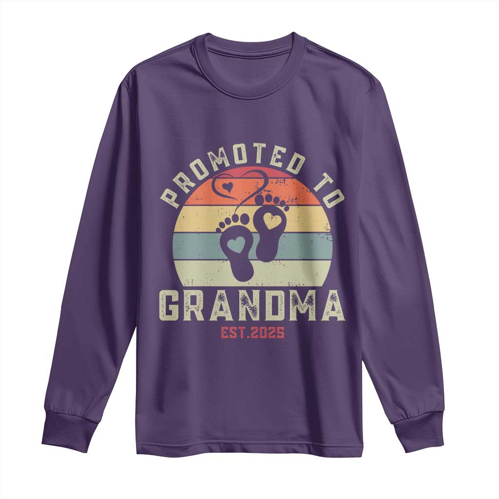 Retro Promoted To Grandma est 2025 Long Sleeve Shirt