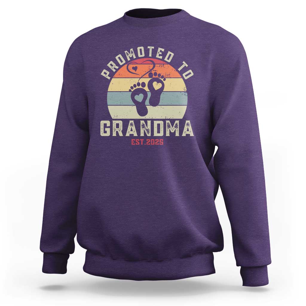 Retro Promoted To Grandma est 2025 Sweatshirt
