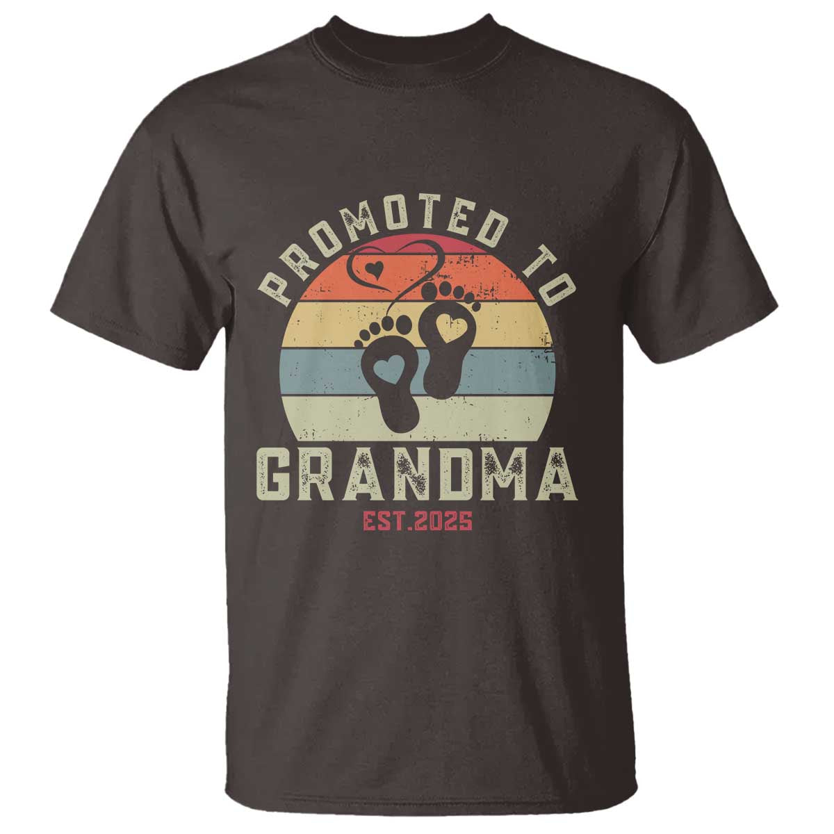 Retro Promoted To Grandma est 2025 T Shirt