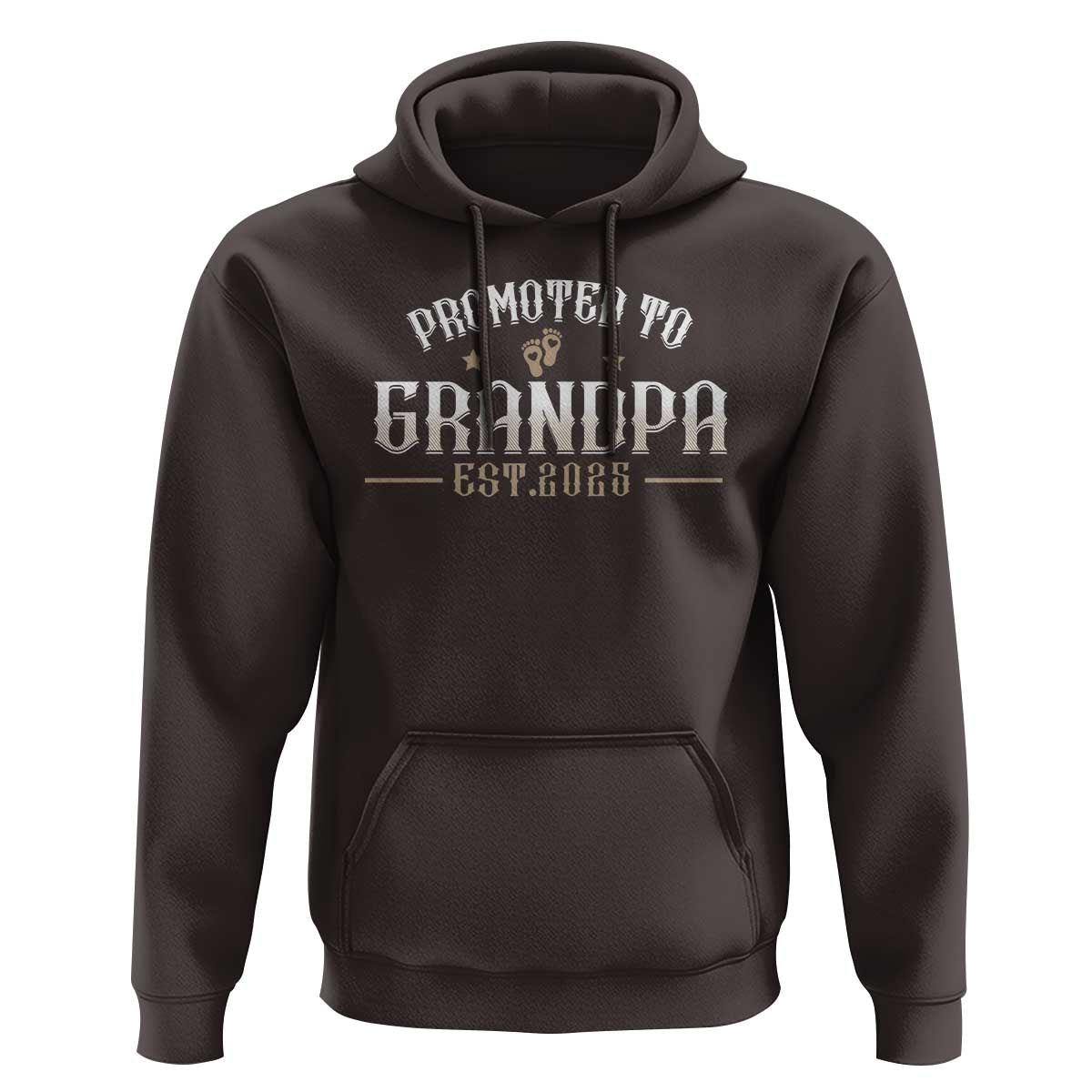 Retro Promoted To Grandpa est 2025 Hoodie