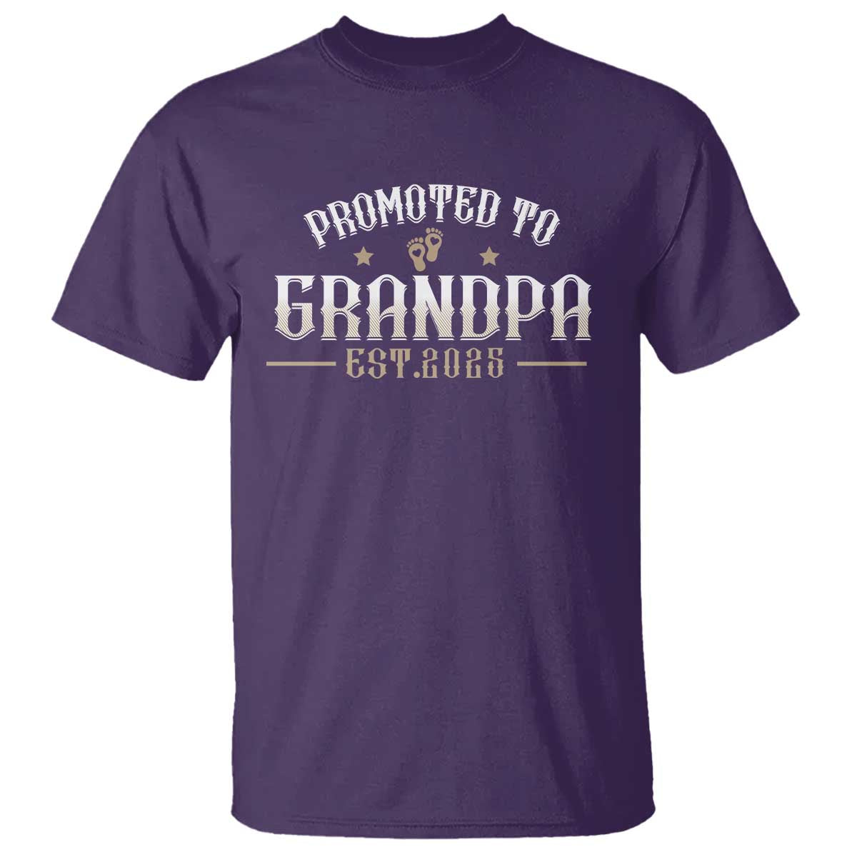 Retro Promoted To Grandpa est 2025 T Shirt