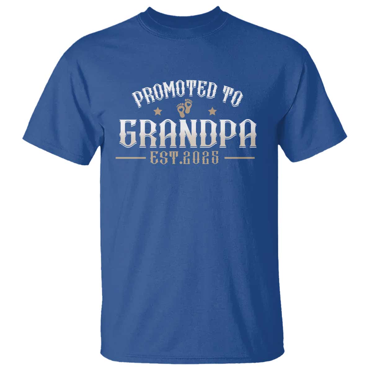 Retro Promoted To Grandpa est 2025 T Shirt