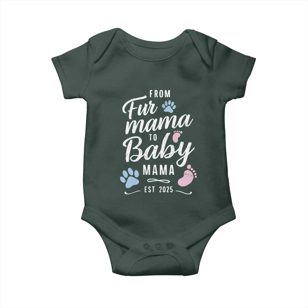 Funny From Fur Mama To Baby Mama Baby Onesie Dog Mom New Mom 2025