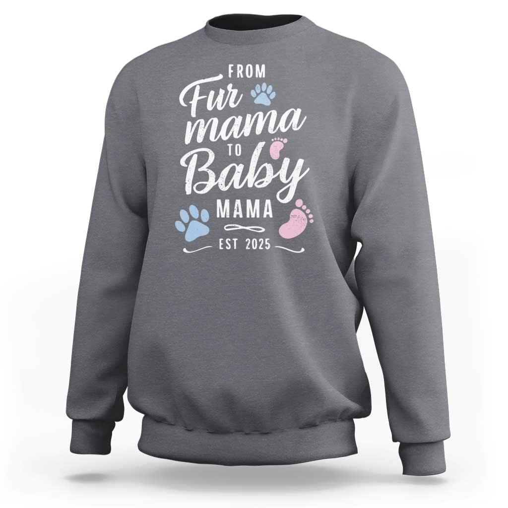 Funny From Fur Mama To Baby Mama Sweatshirt Dog Mom New Mom 2025