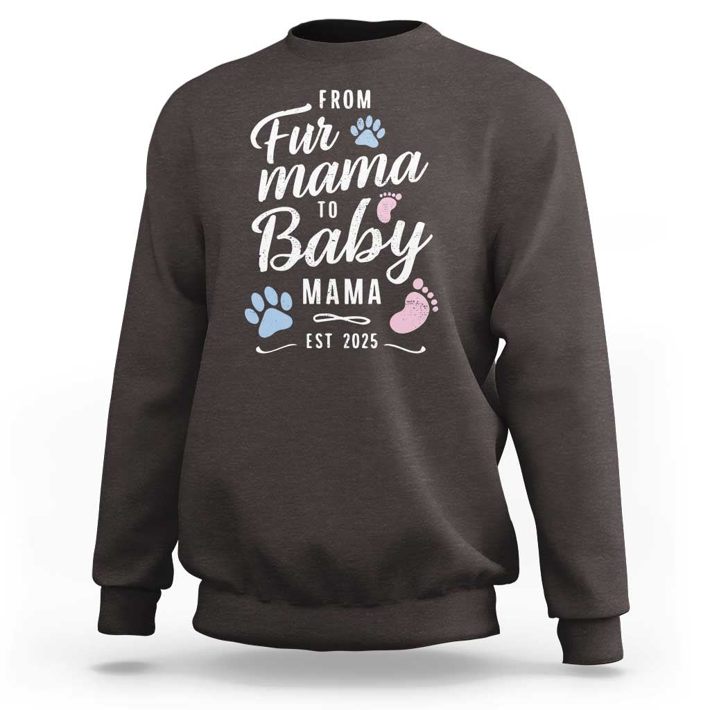Funny From Fur Mama To Baby Mama Sweatshirt Dog Mom New Mom 2025