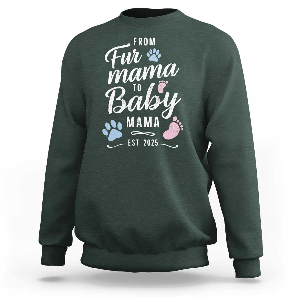 Funny From Fur Mama To Baby Mama Sweatshirt Dog Mom New Mom 2025
