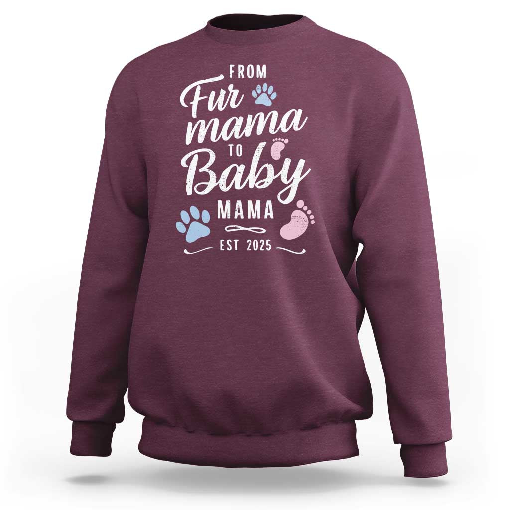 Funny From Fur Mama To Baby Mama Sweatshirt Dog Mom New Mom 2025