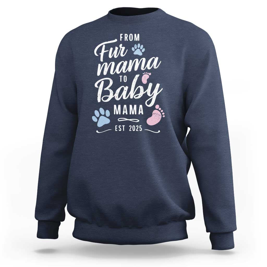 Funny From Fur Mama To Baby Mama Sweatshirt Dog Mom New Mom 2025