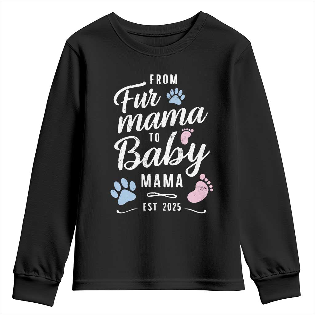 Funny From Fur Mama To Baby Mama Youth Sweatshirt Dog Mom New Mom 2025
