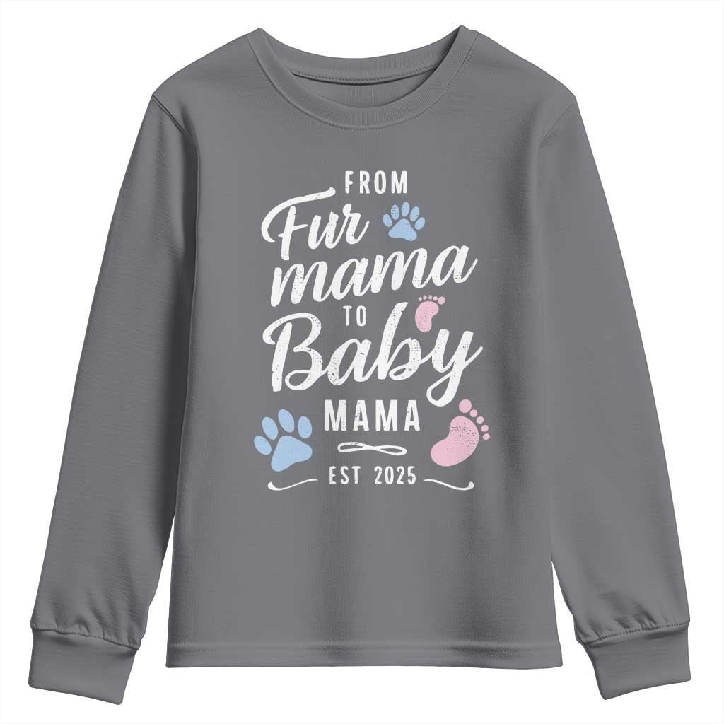 Funny From Fur Mama To Baby Mama Youth Sweatshirt Dog Mom New Mom 2025