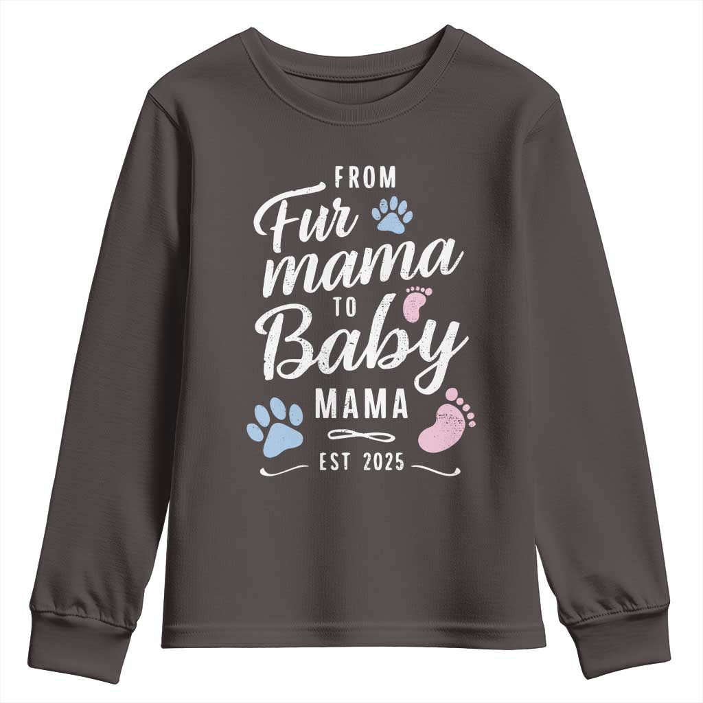 Funny From Fur Mama To Baby Mama Youth Sweatshirt Dog Mom New Mom 2025