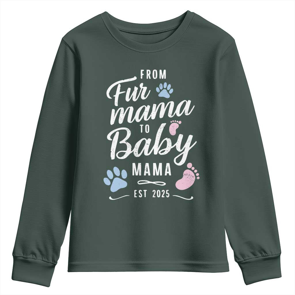 Funny From Fur Mama To Baby Mama Youth Sweatshirt Dog Mom New Mom 2025