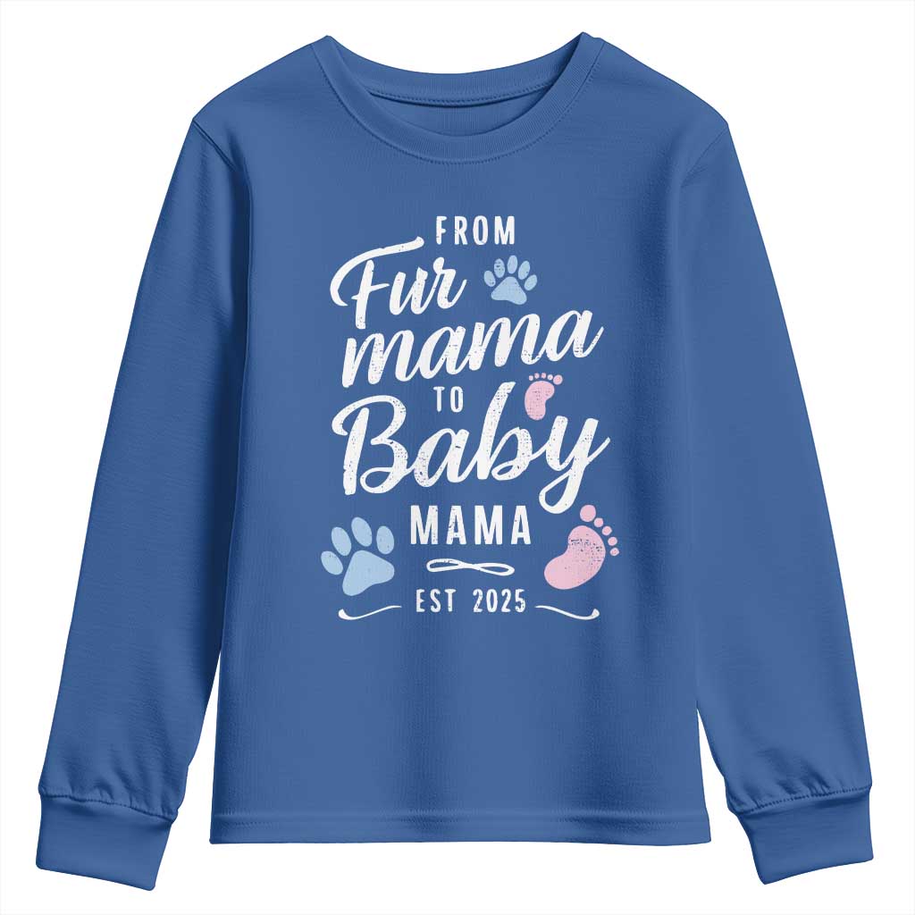 Funny From Fur Mama To Baby Mama Youth Sweatshirt Dog Mom New Mom 2025