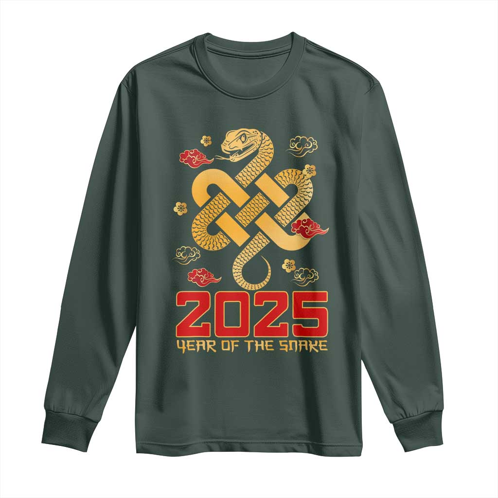 Year Of The Snake 2025 Long Sleeve Shirt Lunar New Year Chinese Traditional
