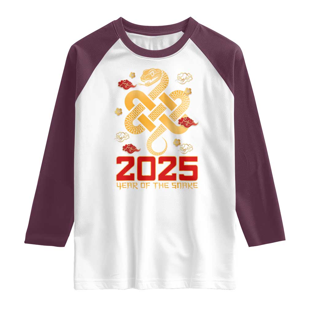 Year Of The Snake 2025 Raglan Shirt Lunar New Year Chinese Traditional