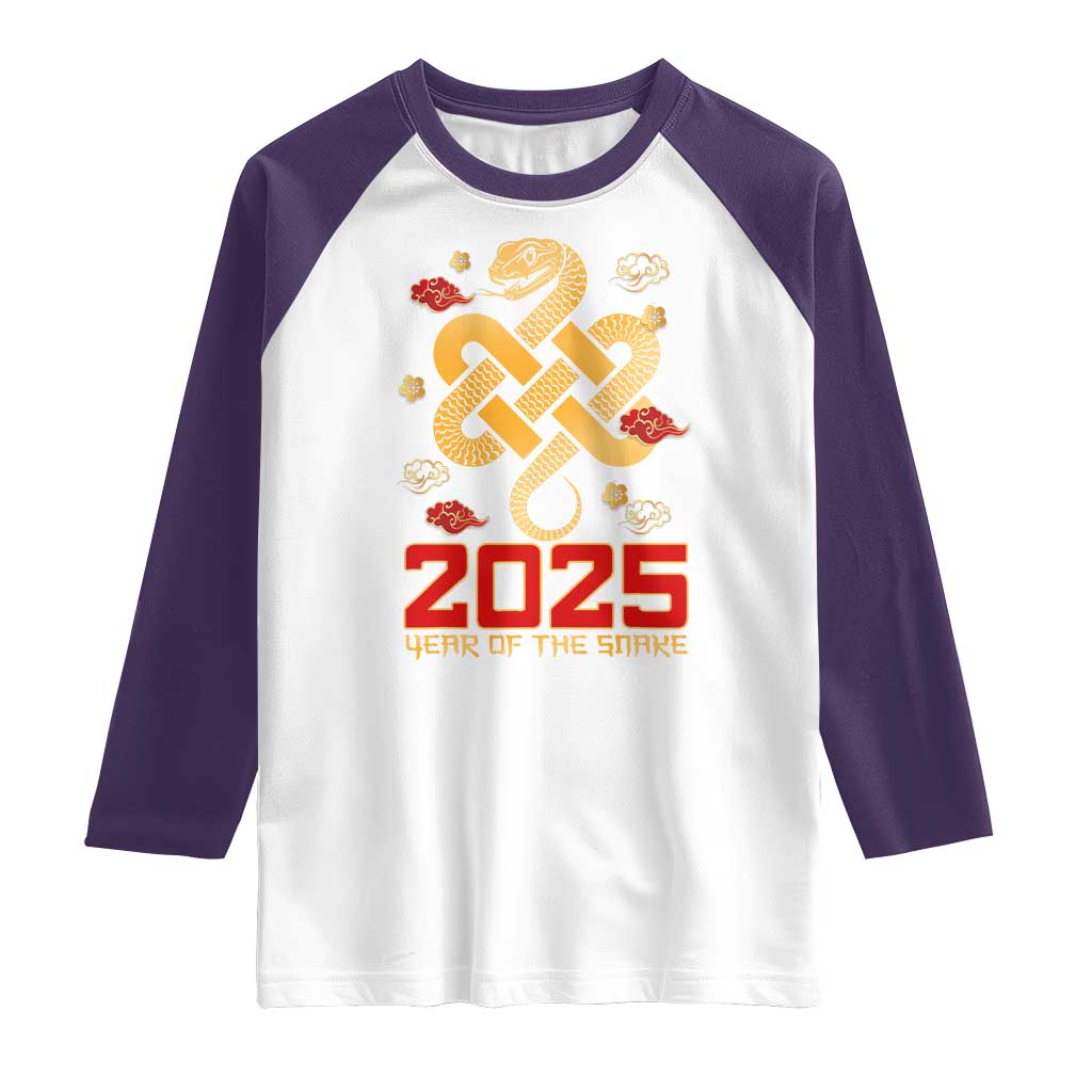 Year Of The Snake 2025 Raglan Shirt Lunar New Year Chinese Traditional