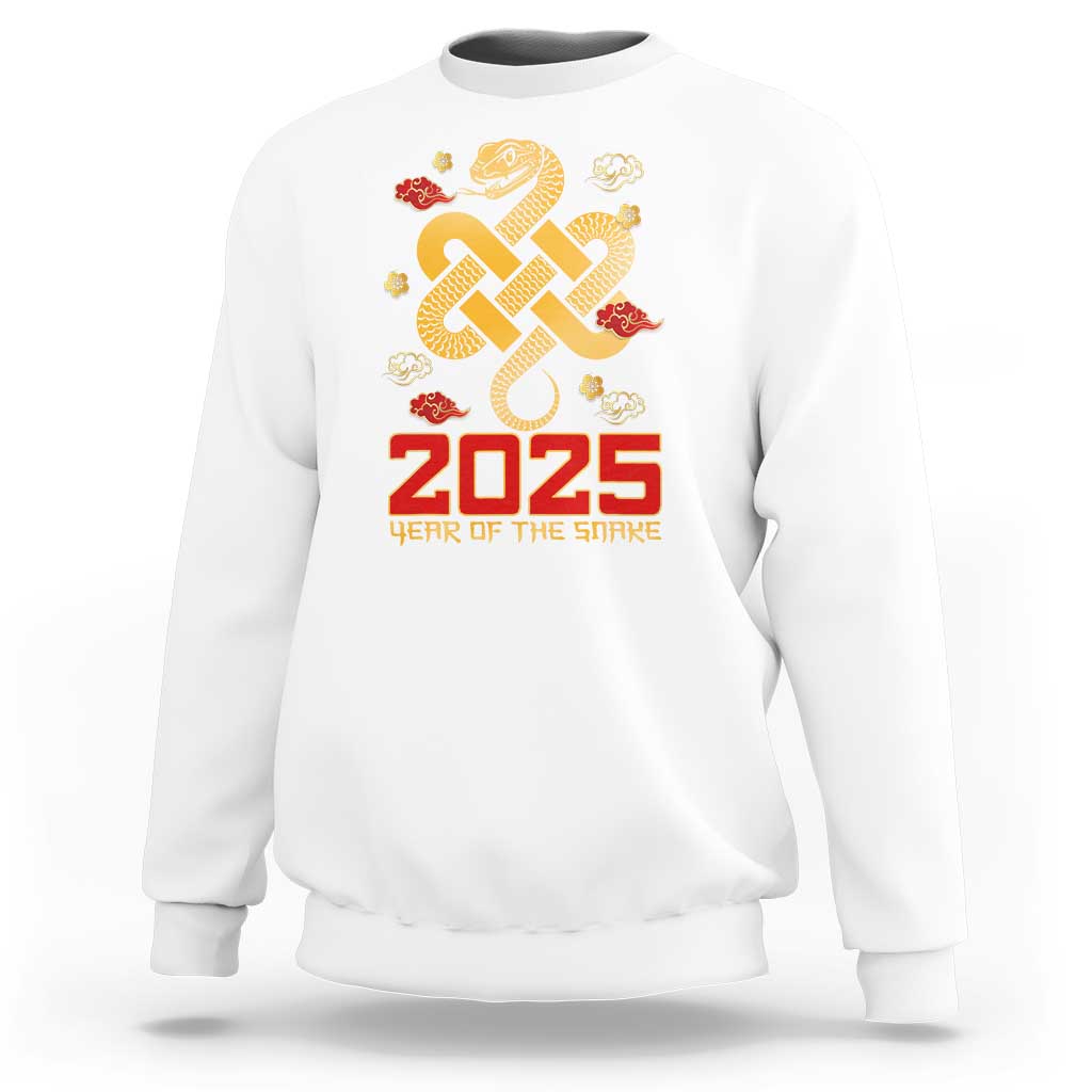 Year Of The Snake 2025 Sweatshirt Lunar New Year Chinese Traditional - Wonder Print Shop