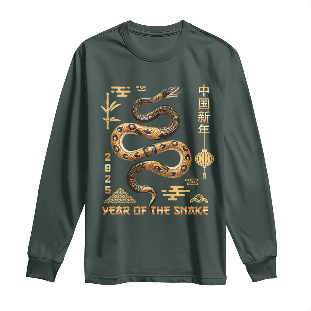 Lunar New Year 2025 Long Sleeve Shirt Year Of The Snake 2025 Chinese China