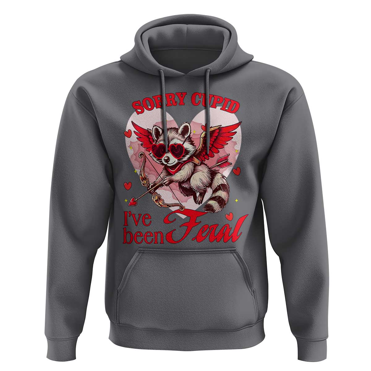 Funny Valentine's Day Hoodie Sorry Cupid I've Been Feral Raccoon