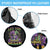 Mardi Gras Spare Tire Cover Let The Shenanigans Begin Skeleton Jester Costume