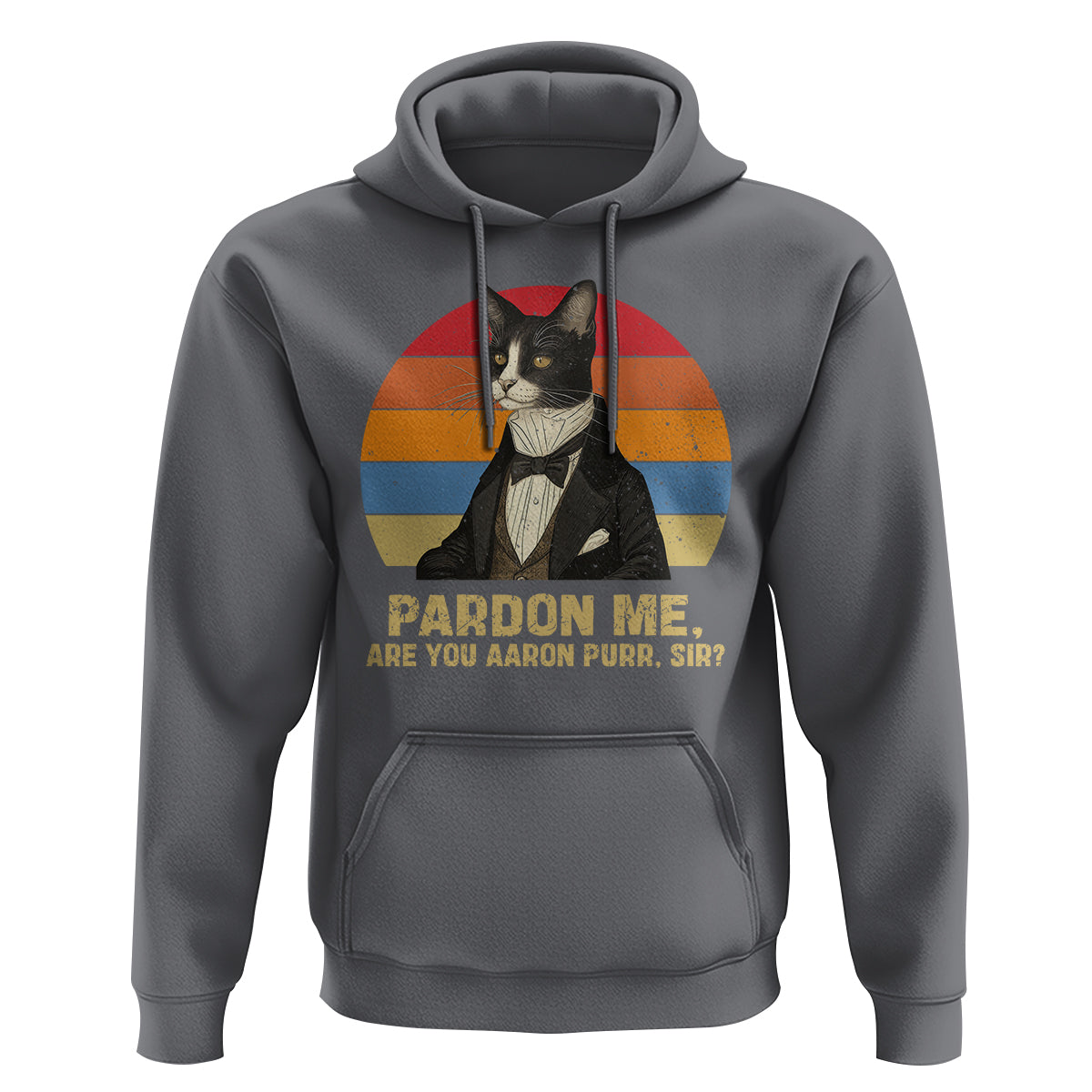 Alexander Hamilton Cat Hoodie Pardon Me, Are You Arron Purr Sir - Wonder Print Shop