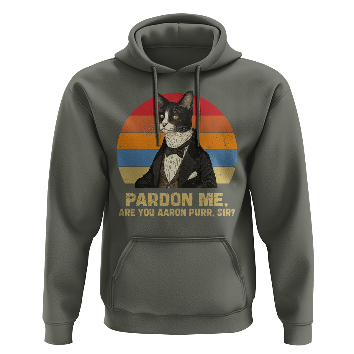 Alexander Hamilton Cat Hoodie Pardon Me, Are You Arron Purr Sir - Wonder Print Shop