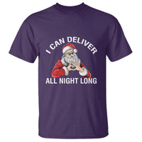Funny Chrsitmas T Shirt I Can Deliver All Night Long - Wonder Print Shop