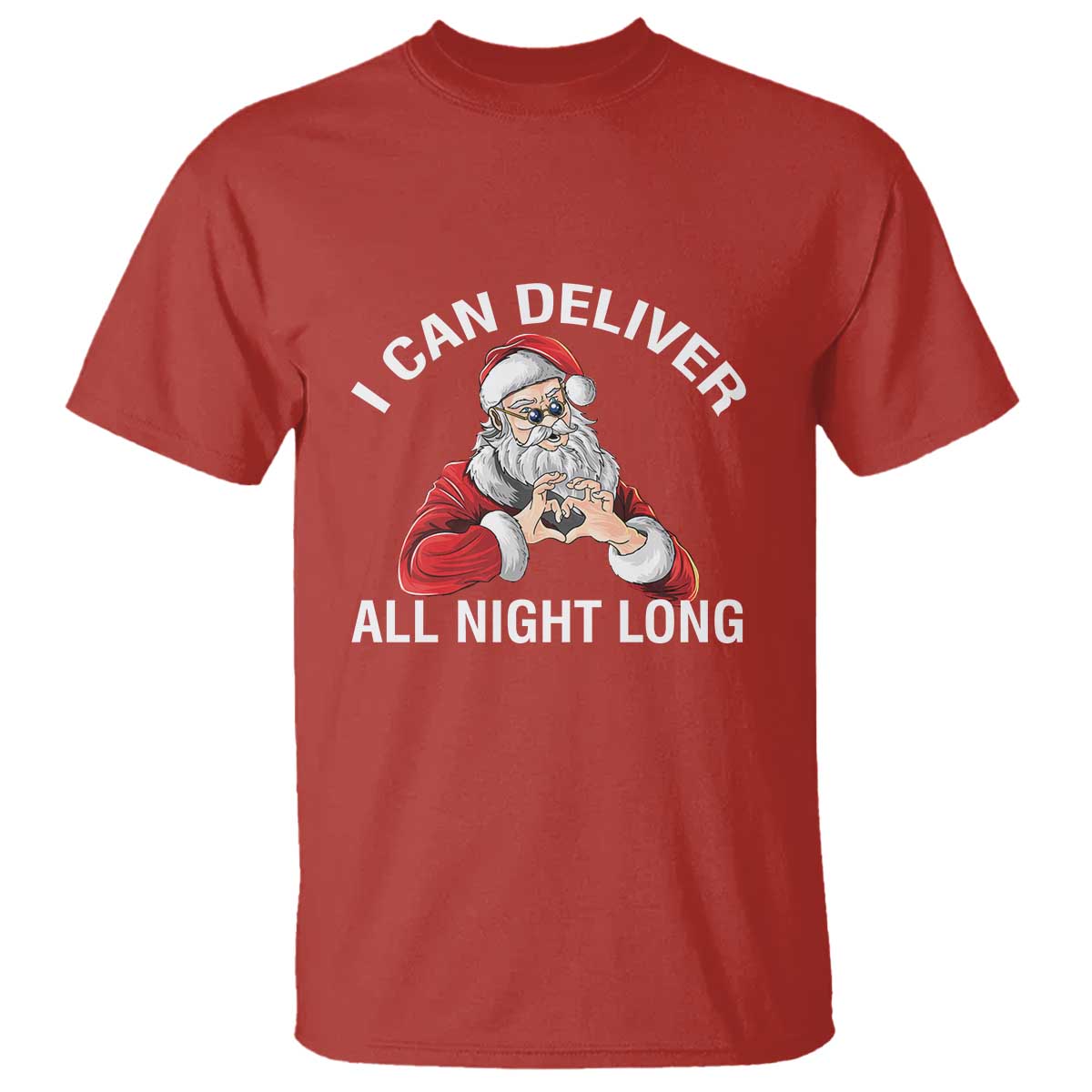 Funny Chrsitmas T Shirt I Can Deliver All Night Long - Wonder Print Shop