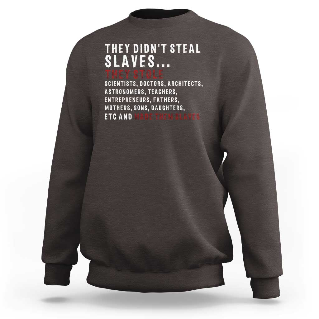 Black History Sweatshirt They Didn't Steal Slaves They Stolen And Made Them Slaves TS09