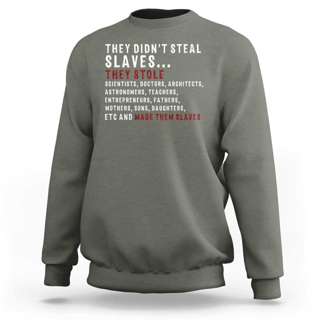 Black History Sweatshirt They Didn't Steal Slaves They Stolen And Made Them Slaves TS09