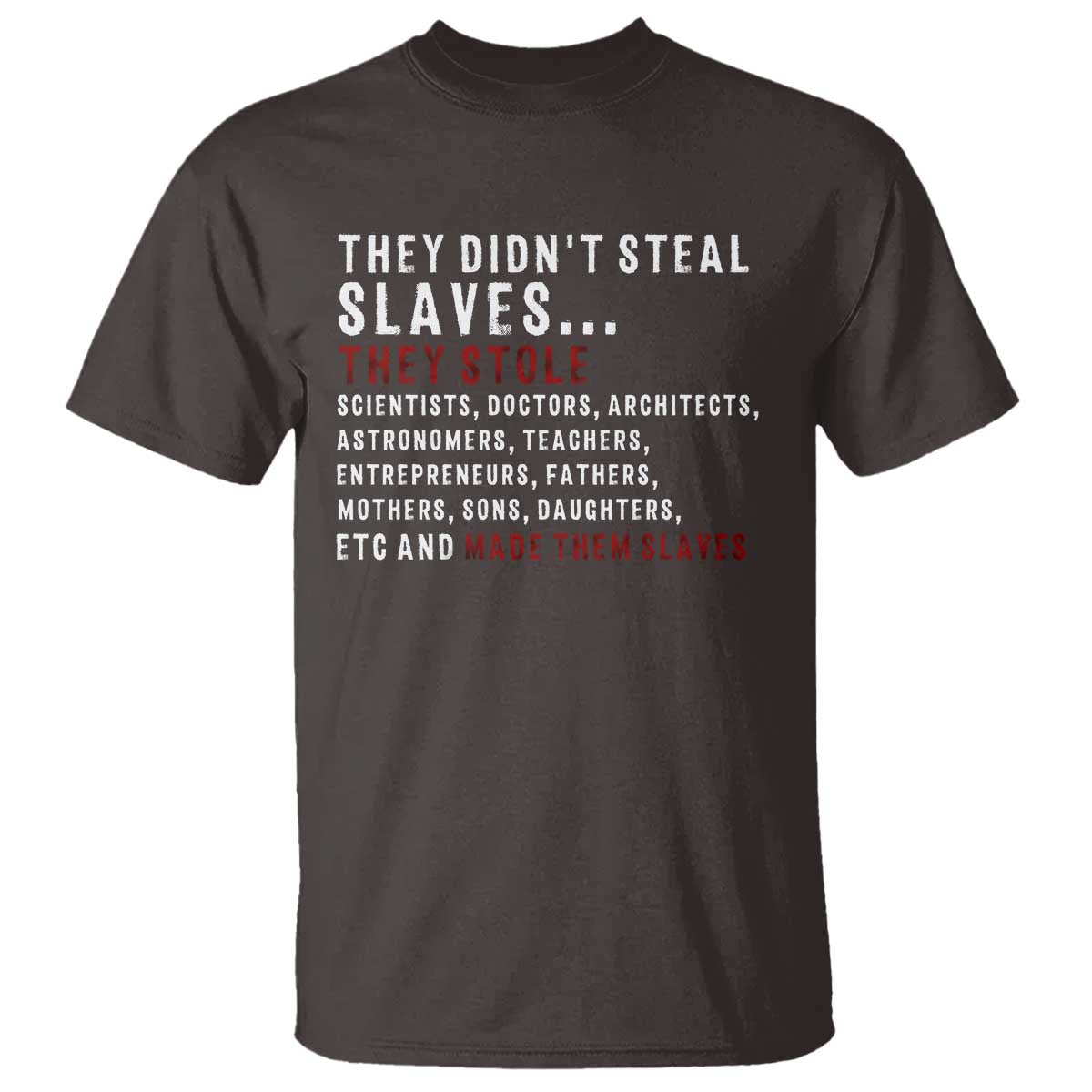 Black History T Shirt They Didn't Steal Slaves They Stolen And Made Them Slaves TS09