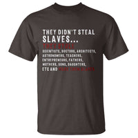 Black History T Shirt They Didn't Steal Slaves They Stolen And Made Them Slaves TS09