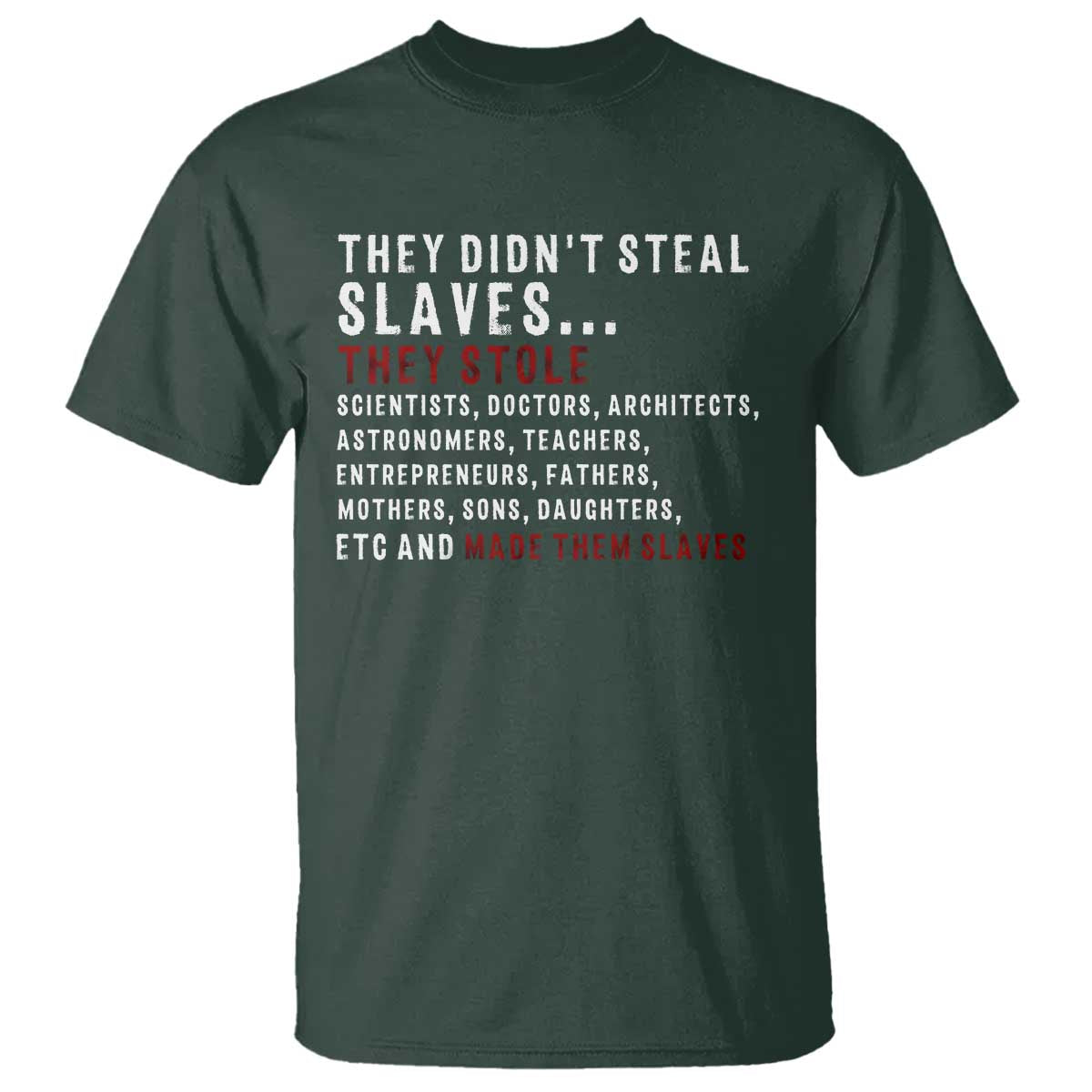 Black History T Shirt They Didn't Steal Slaves They Stolen And Made Them Slaves TS09