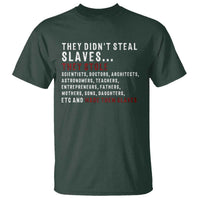 Black History T Shirt They Didn't Steal Slaves They Stolen And Made Them Slaves TS09