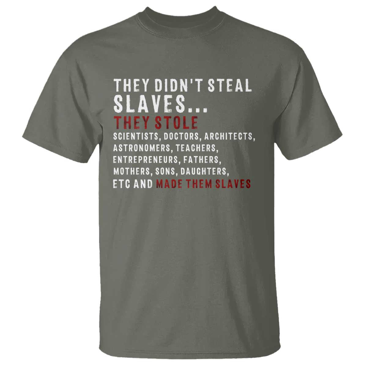 Black History T Shirt They Didn't Steal Slaves They Stolen And Made Them Slaves TS09